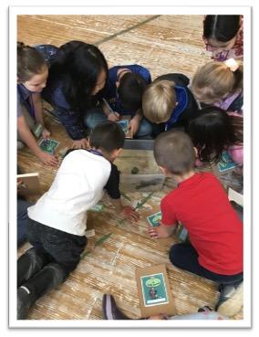 Children observing and drawing in field journals