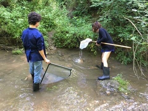 Students exploring a stream