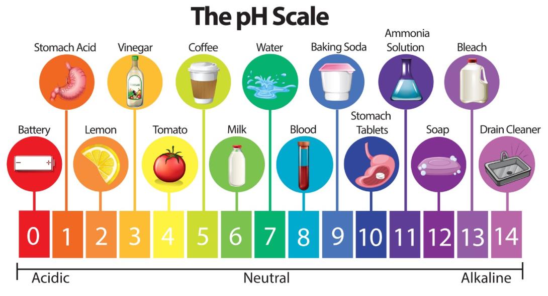 https://www.vecteezy.com/vector-art/293102-the-science-ph-scale