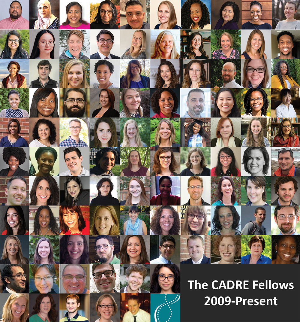 CADRE Fellows Graphic CADRE Fellows graphic