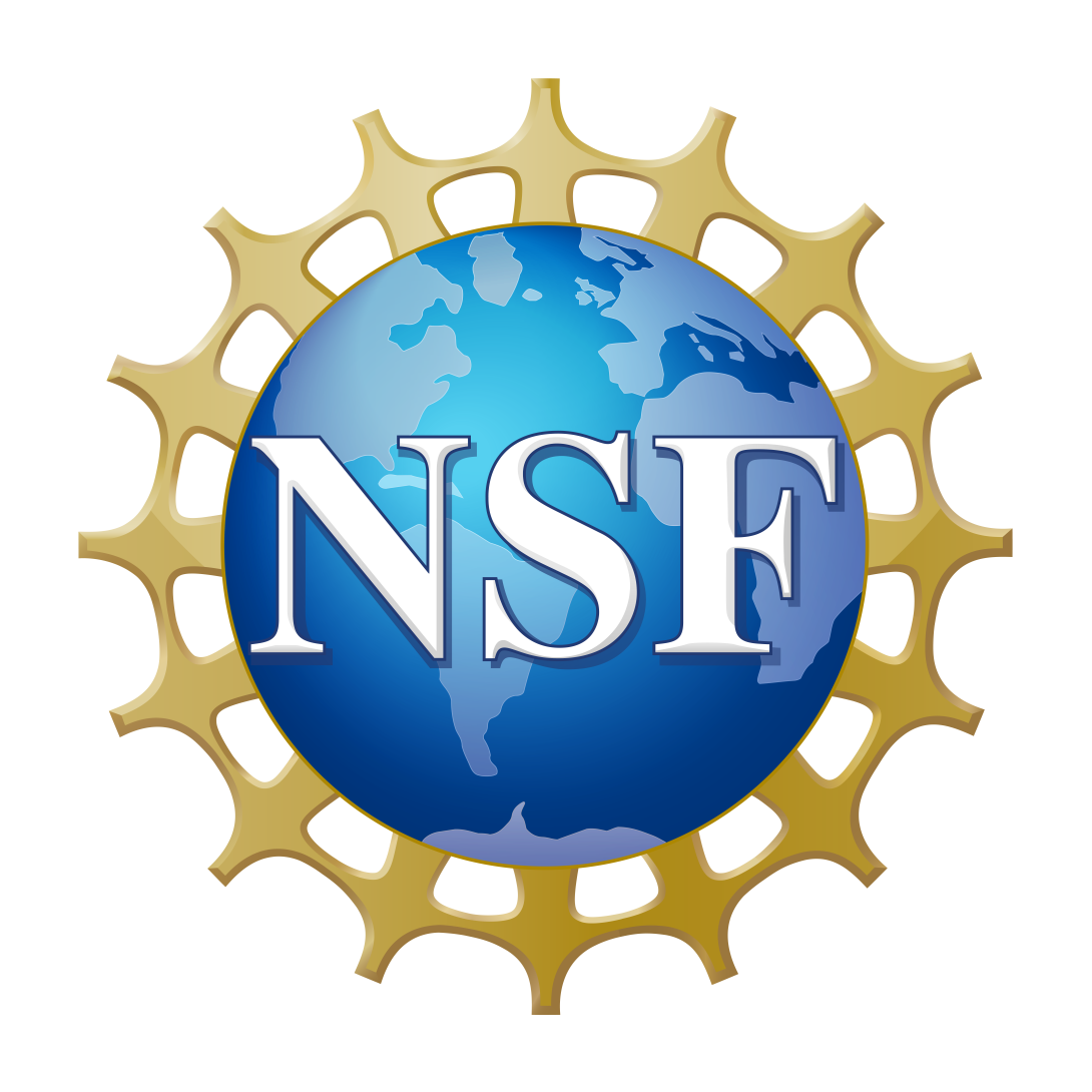 Official NSF Logo