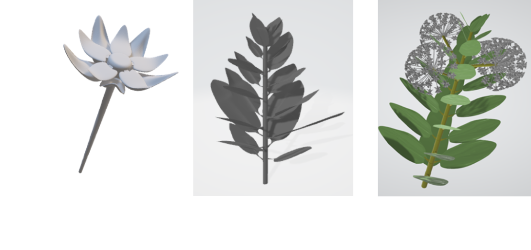 Student 3D Model of Milkweed