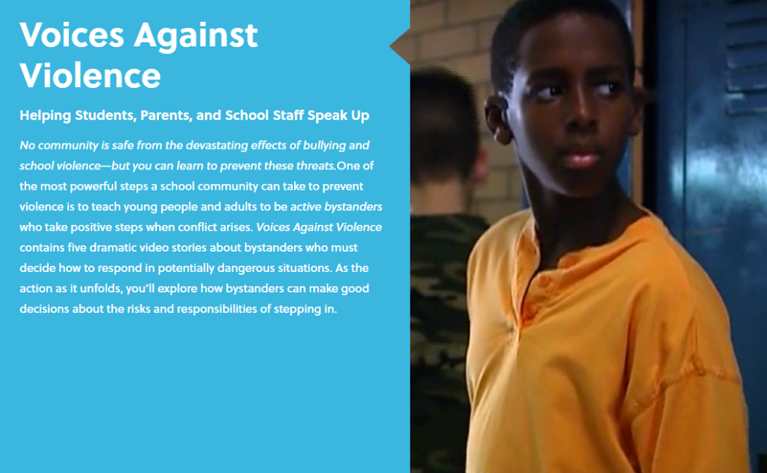 Voices Against Violence image