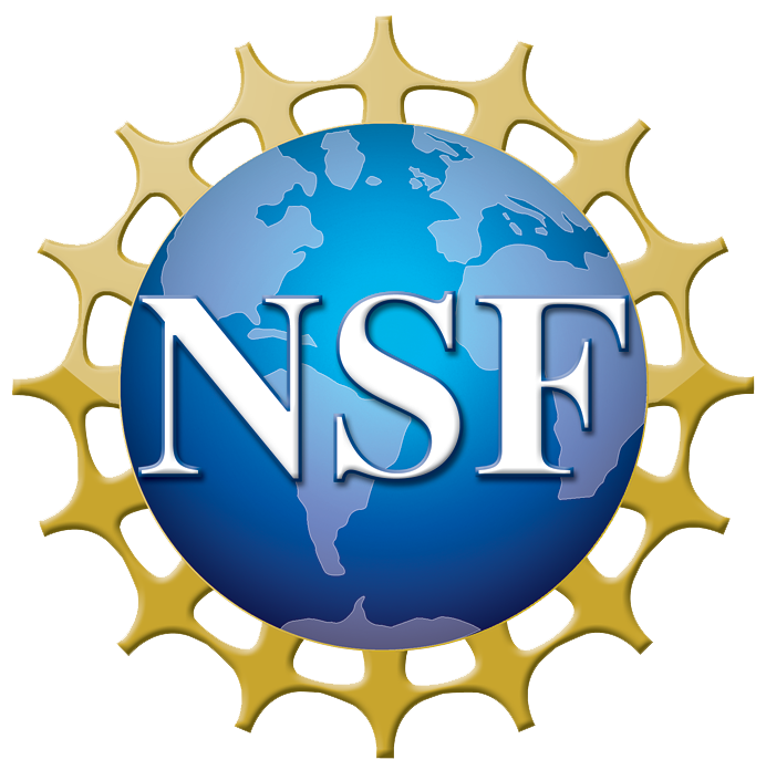 NSF logo